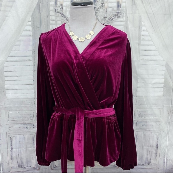 NEW Ralph Lauren Size M Medium Garnet Pink Solid Velvet Belted Peplum Blouse Top - Picture 2 of 12
